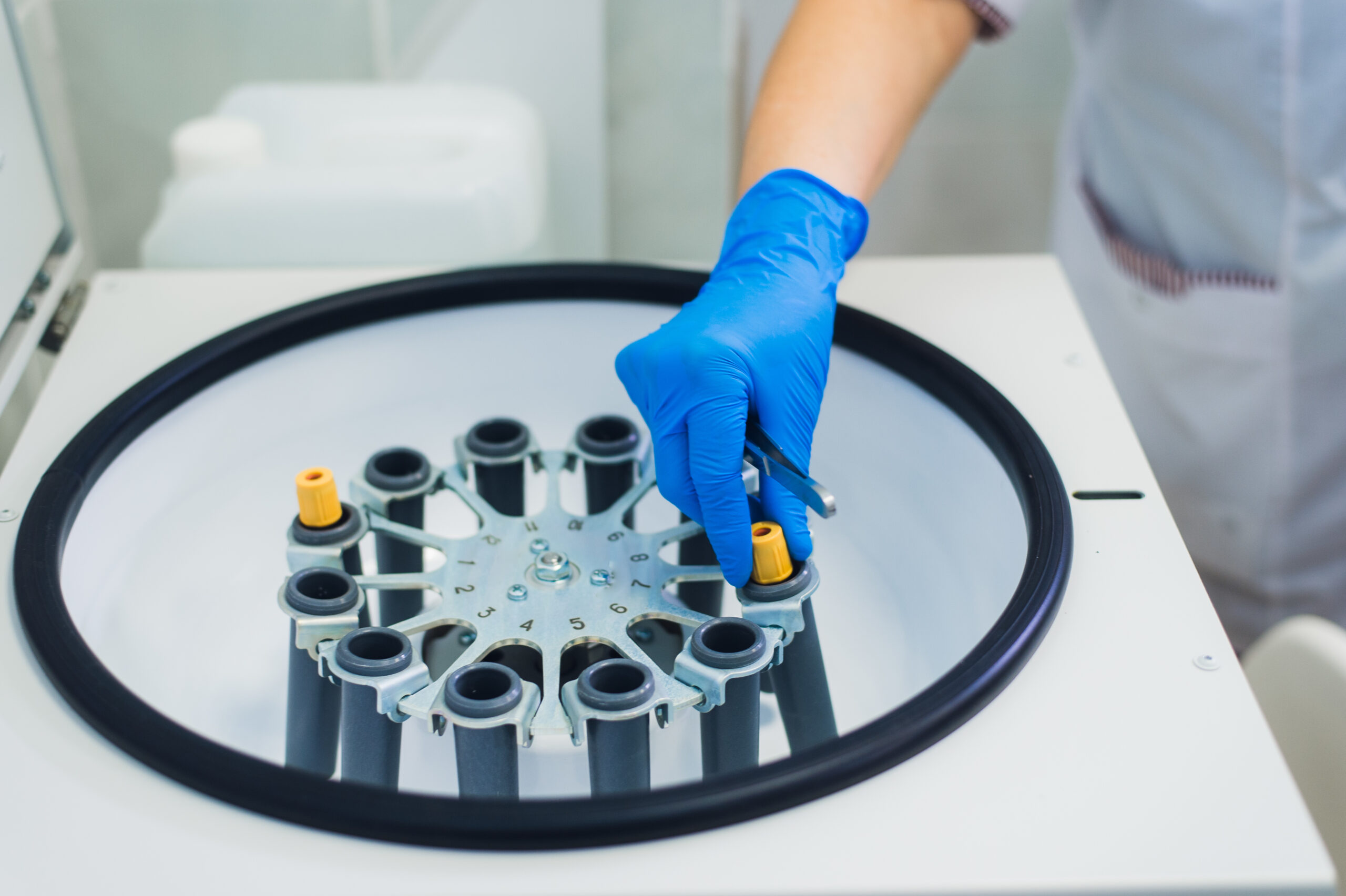 dreamstime_xxl_95404988